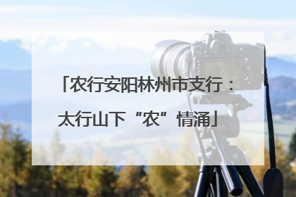 农行安阳林州市支行：太行山下“农”情涌
