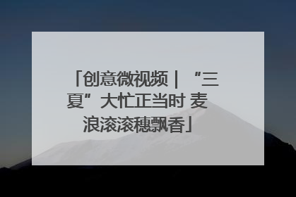 创意微视频｜“三夏”大忙正当时 麦浪滚滚穗飘香