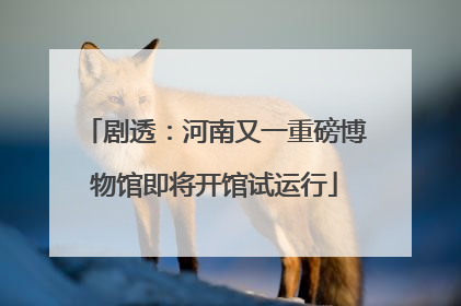 剧透：河南又一重磅博物馆即将开馆试运行