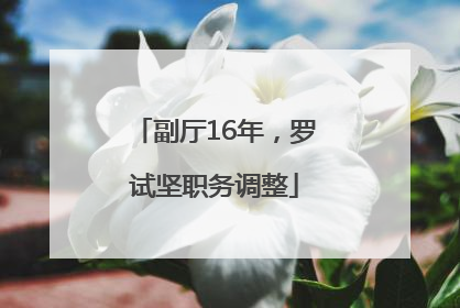 副厅16年，罗试坚职务调整
