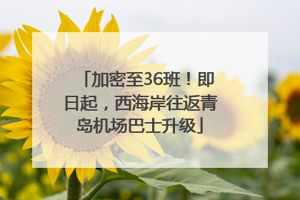 加密至36班！即日起，西海岸往返青岛机场巴士升级