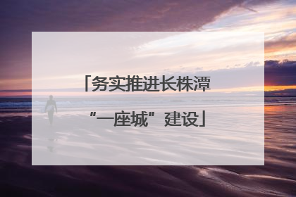 务实推进长株潭“一座城”建设