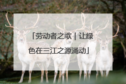 劳动者之歌｜让绿色在三江之源涌动