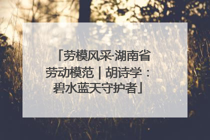 劳模风采·湖南省劳动模范｜胡诗学：碧水蓝天守护者