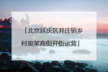 北京延庆区井庄镇乡村奥莱商街开街运营
