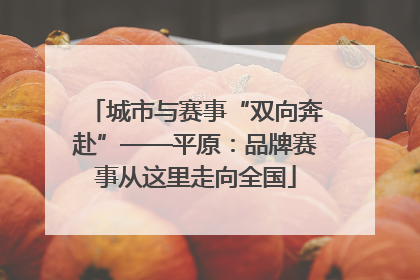 城市与赛事“双向奔赴”——平原：品牌赛事从这里走向全国