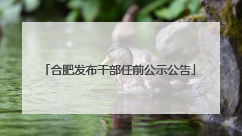 合肥发布干部任前公示公告