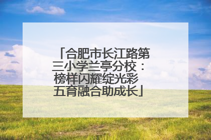 合肥市长江路第三小学兰亭分校：榜样闪耀绽光彩 五育融合助成长