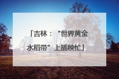 吉林：“世界黄金水稻带”上插秧忙