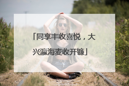 同享丰收喜悦，大兴瀛海麦收开镰