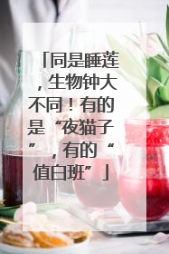 同是睡莲，生物钟大不同！有的是“夜猫子”，有的“值白班”