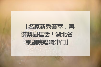 名家新秀荟萃，再谱梨园佳话！湖北省京剧院唱响津门