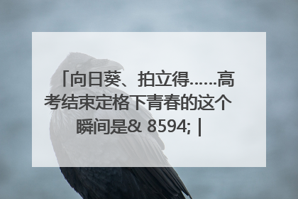 向日葵、拍立得……高考结束定格下青春的这个瞬间是& 8594;｜2025四川高考