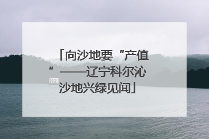 向沙地要“产值”——辽宁科尔沁沙地兴绿见闻
