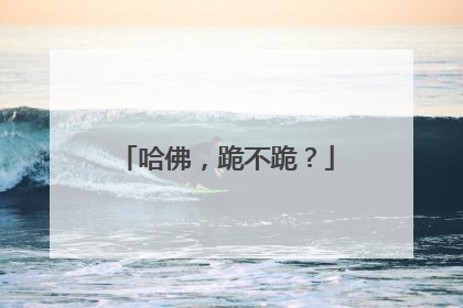 哈佛，跪不跪？