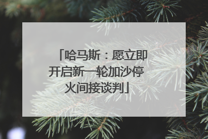哈马斯：愿立即开启新一轮加沙停火间接谈判