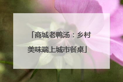 商城老鸭汤：乡村美味端上城市餐桌
