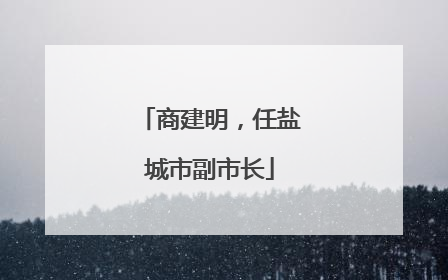 商建明，任盐城市副市长