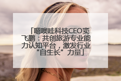 嗯噢哇科技CEO窦飞鹏：共创旅游专业能力认知平台，激发行业“自生长”力量