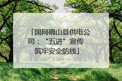 国网确山县供电公司：“五进”宣传 筑牢安全防线