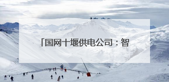 国网十堰供电公司：智能机器人护航高考保电