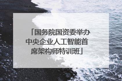 国务院国资委举办中央企业人工智能首席架构师特训班