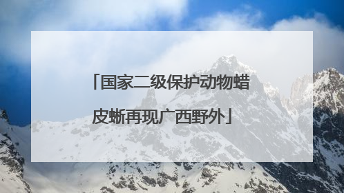 国家二级保护动物蜡皮蜥再现广西野外