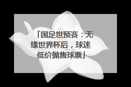国足世预赛：无缘世界杯后，球迷低价抛售球票