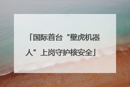 国际首台“壁虎机器人”上岗守护核安全