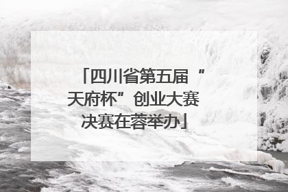 四川省第五届“天府杯”创业大赛决赛在蓉举办