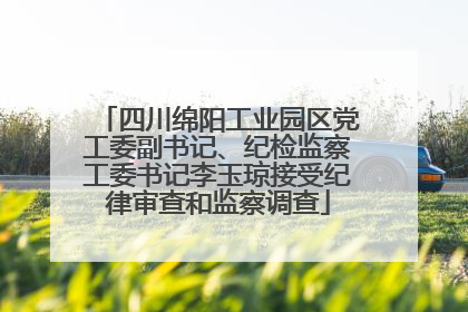 四川绵阳工业园区党工委副书记、纪检监察工委书记李玉琼接受纪律审查和监察调查