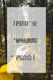 四川广安“硬核圈粉”西洽会