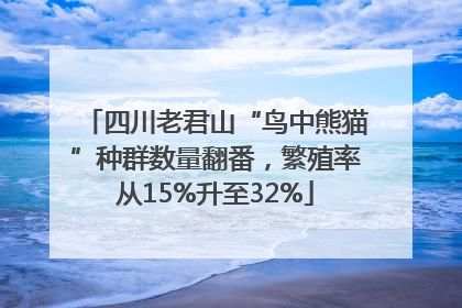 四川老君山“鸟中熊猫”种群数量翻番，繁殖率从15%升至32%
