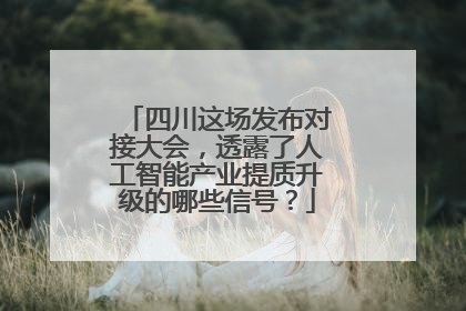 四川这场发布对接大会，透露了人工智能产业提质升级的哪些信号？