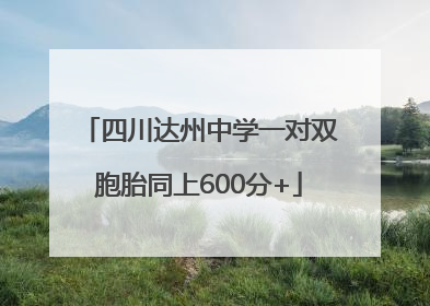 四川达州中学一对双胞胎同上600分+