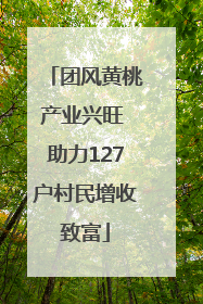 团风黄桃产业兴旺 助力127户村民增收致富
