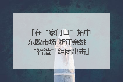 在“家门口”拓中东欧市场 浙江余姚“智造”组团出击