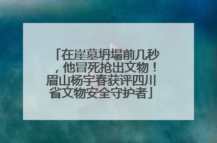 在崖墓坍塌前几秒，他冒死抢出文物！眉山杨宇春获评四川省文物安全守护者