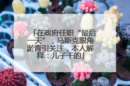 在政府任职“最后一天”，马斯克眼角淤青引关注，本人解释：儿子干的
