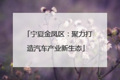 宁夏金凤区：聚力打造汽车产业新生态