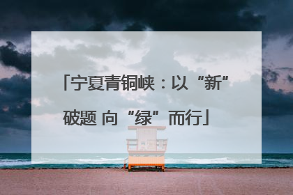 宁夏青铜峡：以“新”破题 向“绿”而行