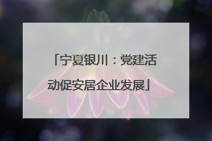 宁夏银川：党建活动促安居企业发展