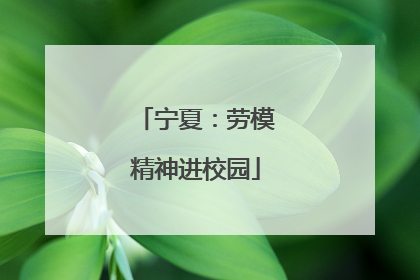 宁夏：劳模精神进校园