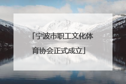 宁波市职工文化体育协会正式成立