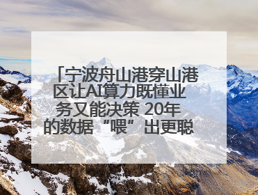宁波舟山港穿山港区让AI算力既懂业务又能决策 20年的数据“喂”出更聪明的港口