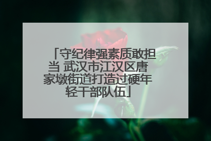 守纪律强素质敢担当 武汉市江汉区唐家墩街道打造过硬年轻干部队伍