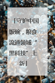 守护中国饭碗，粮食流通领域“黑科技”上新