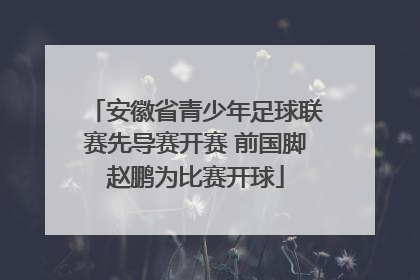 安徽省青少年足球联赛先导赛开赛 前国脚赵鹏为比赛开球