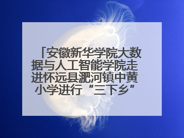 安徽新华学院大数据与人工智能学院走进怀远县淝河镇中黄小学进行“三下乡”支教活动