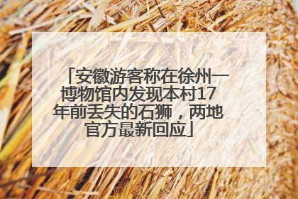 安徽游客称在徐州一博物馆内发现本村17年前丢失的石狮，两地官方最新回应